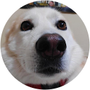 Dani profile picture